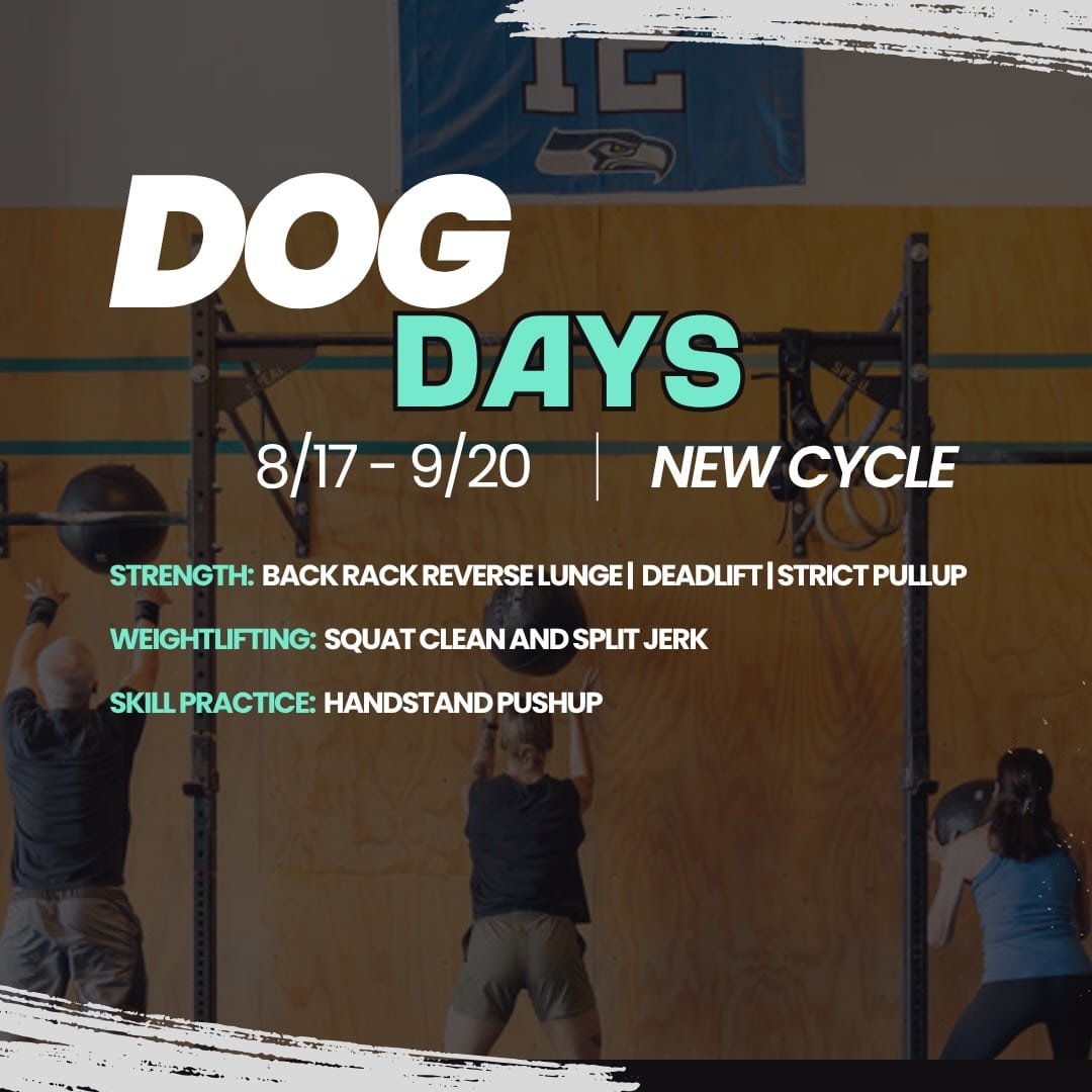 Polaris New Cycle Announcement: Dog Days